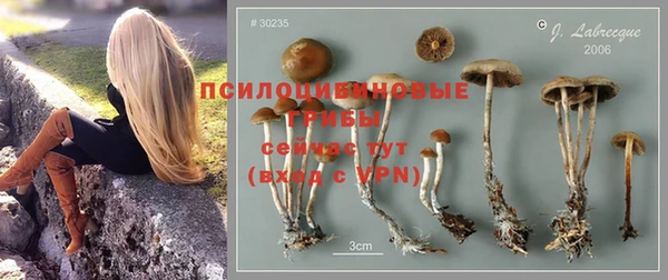 трава Белоозёрский