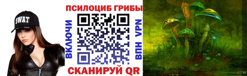 закладка  Светлый  Галлюциногенные грибы Psilocybe 